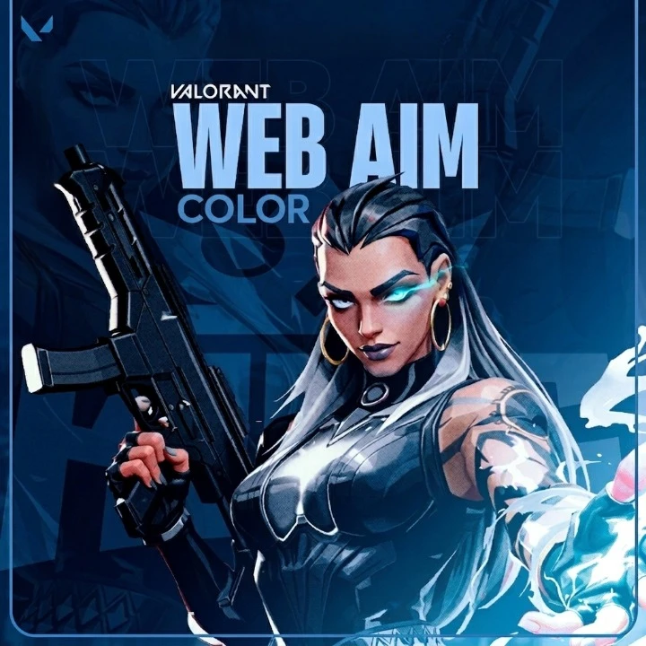 Nevermiss AimColor